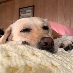 Meet your Posher, Breanna